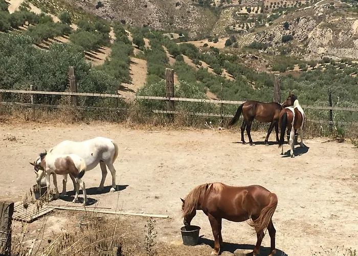 Il Bosco Gæstehus *