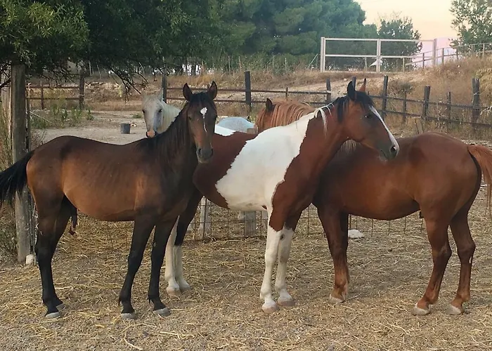 Gæstehus Il Bosco *