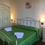 Il Bosco *