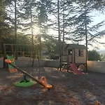 Il Bosco