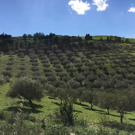 Il Bosco Pensión *