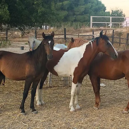 بيت ضيافة Il Bosco *