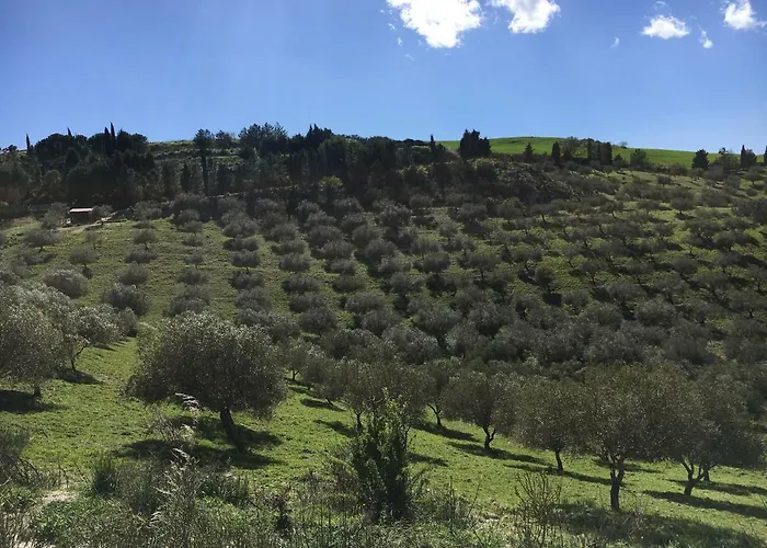 Il Bosco בית הארחה *